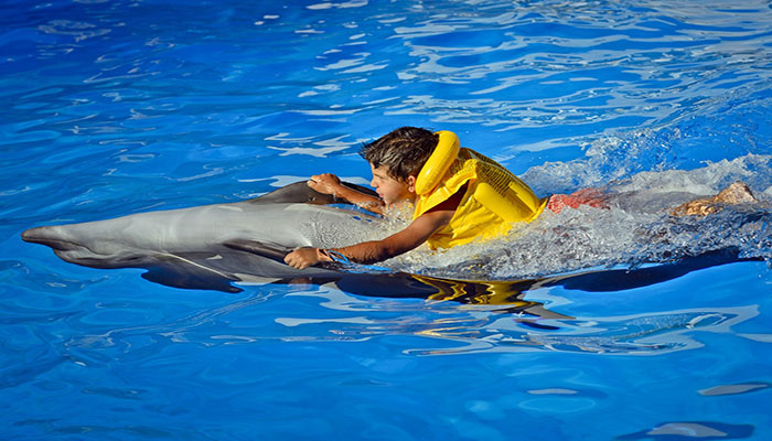 هزینه ورودی پارک دلفین های گرجستان